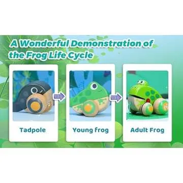 Hape Pull Along Frog Family with Anti-Rollover Wheels, Toddler Push and Pull Toys