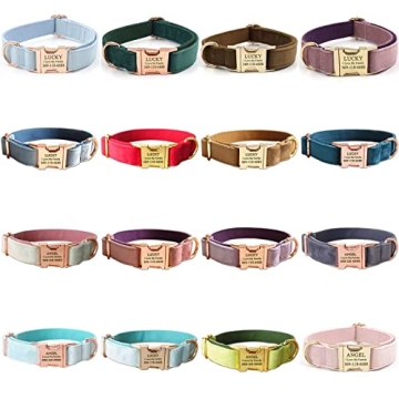 PETDURO Custom Dog Collar Personalized with Engraved Rose Gold Metal Buckle