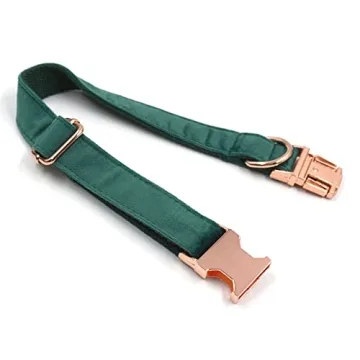 Stylish PETDURO Custom Dog Collar with Engraved Buckle