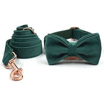 Stylish PETDURO Custom Dog Collar with Engraved Buckle