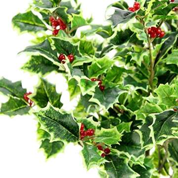 Admired By Nature Artificial Holly Leaves Berries Christmas Bush for Christmas Decorations Home Decor, Fake Plants, Holiday Bush, Indoor Outdoor Floral Arrangement, Christmas Cemetery Flowers, Green