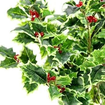Admired By Nature Artificial Holly Leaves Berries Christmas Bush for Christmas Decorations Home Decor, Fake Plants, Holiday Bush, Indoor Outdoor Floral Arrangement, Christmas Cemetery Flowers, Green