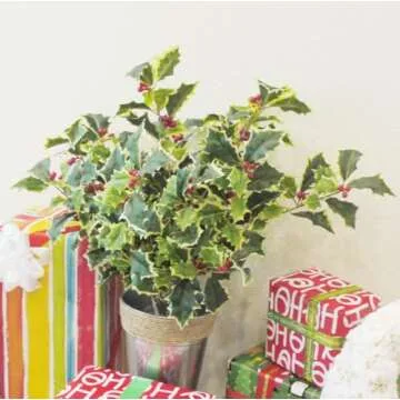 Admired By Nature Artificial Holly Leaves Berries Christmas Bush for Christmas Decorations Home Decor, Fake Plants, Holiday Bush, Indoor Outdoor Floral Arrangement, Christmas Cemetery Flowers, Green