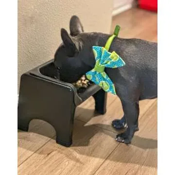 Fluff Trough Elevated Dog Bowl for Food | 5inch Tall Cat & Dog Feeding Station | Vet Approved Non-To...