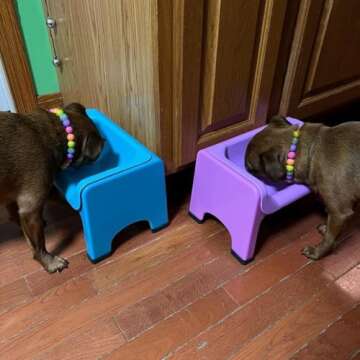 Fluff Trough Elevated Dog Bowl for Food | 5inch Tall Cat & Dog Feeding Station | Vet Approved Non-Toxic Silicone Feeder Bowl Insert | Raised Bowl for Medium and Small Dog/Pet with Flat Face (Teal)