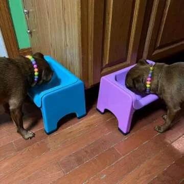 Fluff Trough Elevated Dog Bowl for Food | 5inch Tall Cat & Dog Feeding Station | Vet Approved Non-Toxic Silicone Feeder Bowl Insert | Raised Bowl for Medium and Small Dog/Pet with Flat Face (Teal)