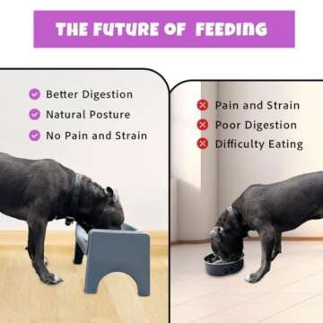 Fluff Trough Elevated Dog Bowl for Food | 5inch Tall Cat & Dog Feeding Station | Vet Approved Non-Toxic Silicone Feeder Bowl Insert | Raised Bowl for Medium and Small Dog/Pet with Flat Face (Teal)