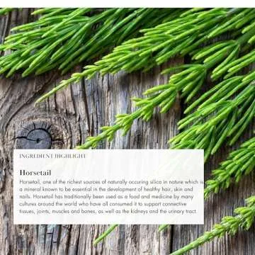 Anima Mundi Apothecary Vegan Collagen Booster Powder - Beauty Supplement for Skin, Hair & Nails, Easy Drink Mix-in (5oz)