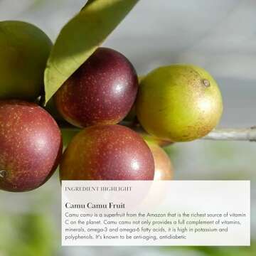 Anima Mundi Apothecary Vegan Collagen Booster Powder - Beauty Supplement for Skin, Hair & Nails, Easy Drink Mix-in (5oz)