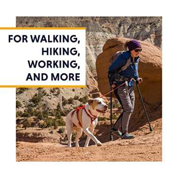 Ruffwear, Web Master, Multi-Use Support Dog Harness, Hiking and Trail Running, Service and Working, Everyday Wear, Blaze Orange, Large/X-Large