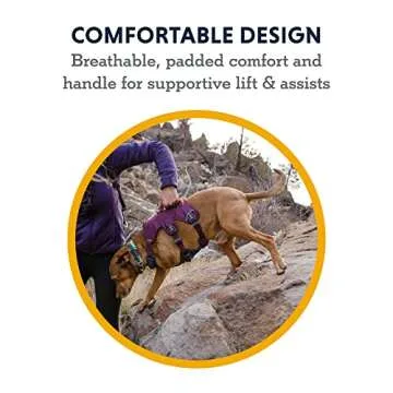 Ruffwear, Web Master, Multi-Use Support Dog Harness, Hiking and Trail Running, Service and Working, Everyday Wear, Blaze Orange, Large/X-Large