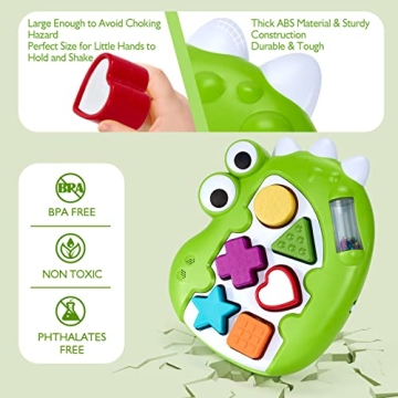 Musical Shape Sorter Toy for 1 Year Old Boys and Girls