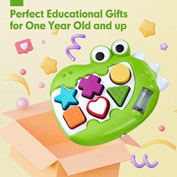 Musical Shape Sorter Toy for 1 Year Old Boys and Girls