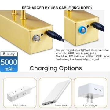 FUNCHDAY Picture Light Wireless, Rechargeable Gallery Light Battery Operated, 280LM Dimmable Art Lighting with Remote, 16" Metal Picture Lights for Wall, Paintings, Portrait, Photo (Brass)