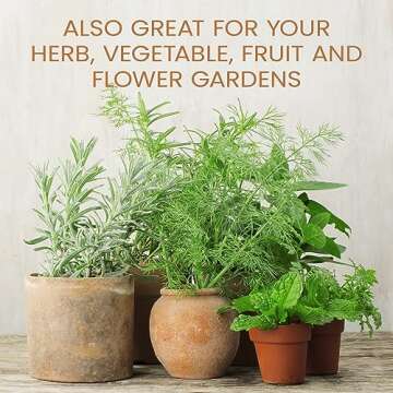 Purived 20oz All-Purpose Liquid Plant Fertilizer - Makes 50 Gallons, For Indoor Houseplants, All-Natural, Groundwater Safe, Made in USA