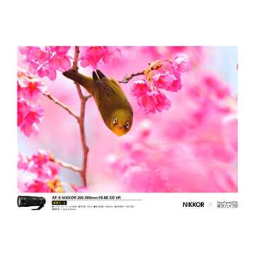 Nikon 200-500 mm/F 5.6 AF-S NIKKOR E ED VR Lenses