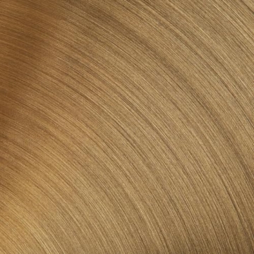 Elegant Rivet Mid-Century Double Glass Globe Wall Sconce