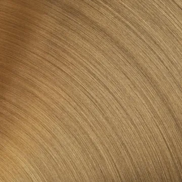 Elegant Rivet Mid-Century Double Glass Globe Wall Sconce