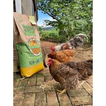 Wholesome Harvest Non-GMO Whole Grain Layer Blend 16% - Chicken Feed for Laying Hens and Ducks - Includes Essential Oils, Herbs, Oyster Shells, Vital Minerals, and Omega 3, 40lb