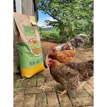 Wholesome Harvest Non-GMO Whole Grain Layer Blend 16% - Chicken Feed for Laying Hens and Ducks - Includes Essential Oils, Herbs, Oyster Shells, Vital Minerals, and Omega 3, 40lb