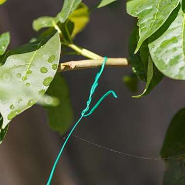 JDYYICZ 328 Feet (100m) Green Multi-Function Sturdy Garden Plant Twist Tie with Cutter/ Cable Tie/Zip Tie/ Coated Wire (1) (1 roll green)