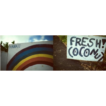 Waioli Coconut Water Pack of 12 Enhanced Hydration