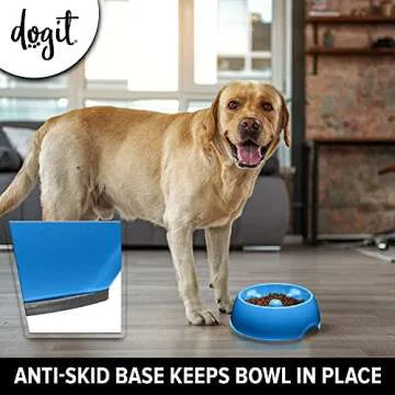 Dogit Dog Bowl Slow Feeder for Wet or Dry Dog Food, Go Slow Anti-Gulping Dog Dish, Blue, M