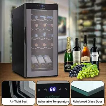 Bottle Wine Cooler Refrigerator for Home Use