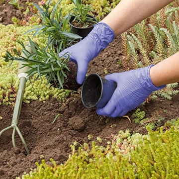 FifthPulse Biodegradable Nitrile Gloves, 150 Count - Eco-Friendly & Durable