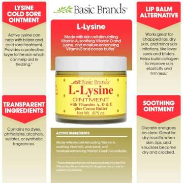Basic Brands L-Lysine Ointment, Cold Sore Fever Blister Relief, Soothes Chapped Lips and Dry Skin, Goes on Clear, 0.875 oz (Pack of 1)