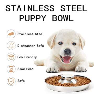 Thankspaw Stainless Steel Puppy Bowls, Set of 2 Puppy Feeder, Dog Food and Water Bowl, Food Feeding ...