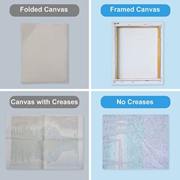 Ninonly 2 Pack Paint by Numbers for Adults with Easel