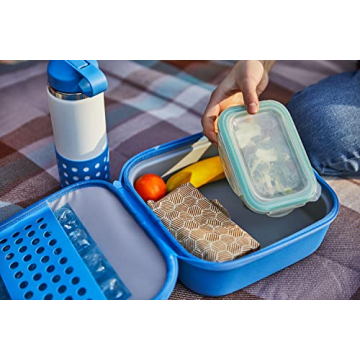 Hydro Flask Insulated Lunch Box for Kids in Wisteria