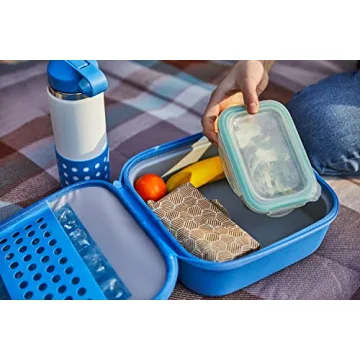 Hydro Flask Insulated Lunch Box for Kids in Wisteria
