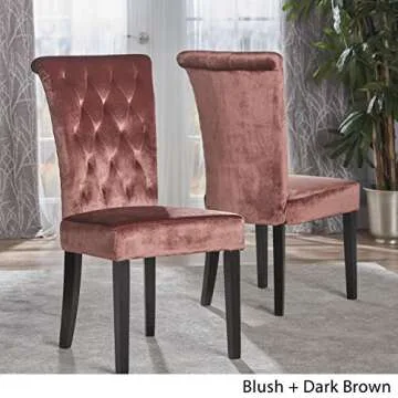Stylish Christopher Knight Home Velvet Dining Chairs