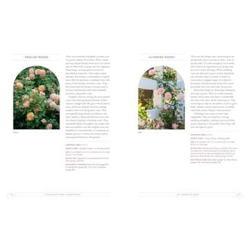 Grace Rose Farm: Garden Roses: The Complete Guide to Growing & Arranging Spectacular Blooms