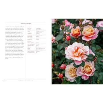 Grace Rose Farm: Garden Roses: The Complete Guide to Growing & Arranging Spectacular Blooms