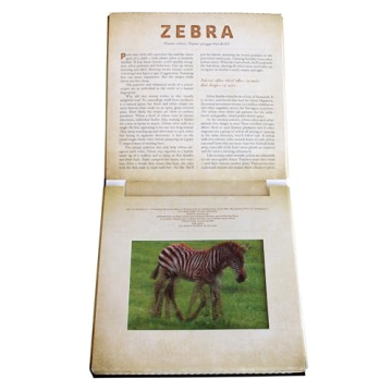 Safari: A Photicular Book for Kids and Adults