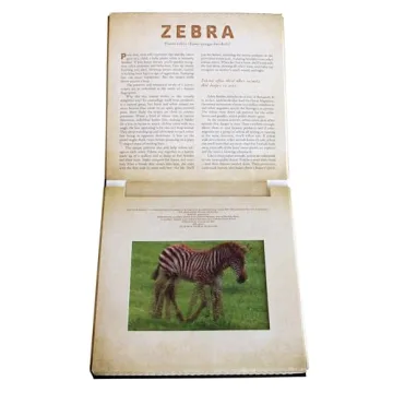 Safari: A Photicular Book for Kids and Adults
