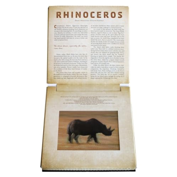 Safari: A Photicular Book for Kids and Adults