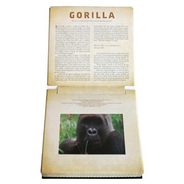 Safari: A Photicular Book for Kids and Adults