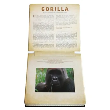 Safari: A Photicular Book for Kids and Adults