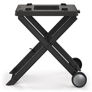 Ninja Woodfire Grill Stand - Durable & Collapsible Solution