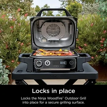 Ninja Woodfire Grill Stand - Durable & Collapsible Solution