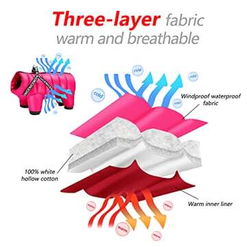 Didog Winter Small Dog Coat with Harness & D Rings