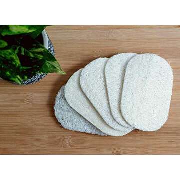 ECOLULU Eco Friendly Sponges (5 Units) & 1 Bamboo Dish Brush Natural Bristles, Natural sponges for D...