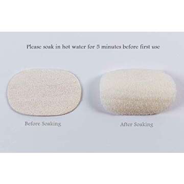 ECOLULU Eco Friendly Sponges (5 Units) & 1 Bamboo Dish Brush Natural Bristles, Natural sponges for Dishes, Eco Friendly Products, Biodegradable Sponges, Eco Sponges, Compostable, Zero Waste