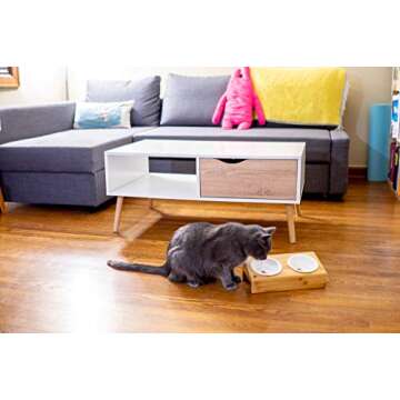 Elevated Bamboo Pet Table with Ceramic Bowls Raised Anti-Slip Tilted Station for Cats Dogs Food/Drink Water-Resistant Surface Clean Feeding and Good Digestion for Pets by Pawmosa (Fish and Bone)