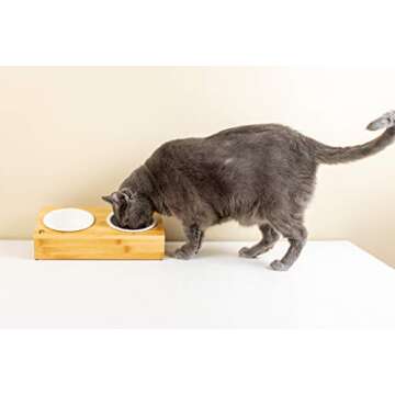 Elevated Bamboo Pet Table with Ceramic Bowls Raised Anti-Slip Tilted Station for Cats Dogs Food/Drink Water-Resistant Surface Clean Feeding and Good Digestion for Pets by Pawmosa (Fish and Bone)