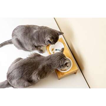 Elevated Bamboo Pet Table with Ceramic Bowls Raised Anti-Slip Tilted Station for Cats Dogs Food/Drink Water-Resistant Surface Clean Feeding and Good Digestion for Pets by Pawmosa (Fish and Bone)